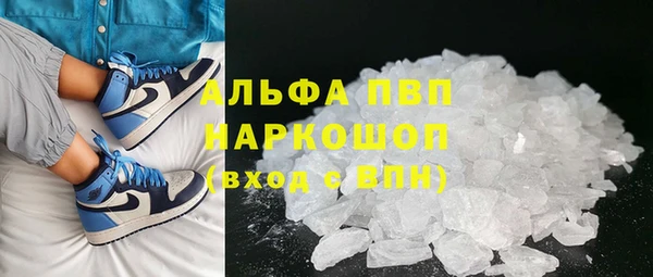 стафф Осташков