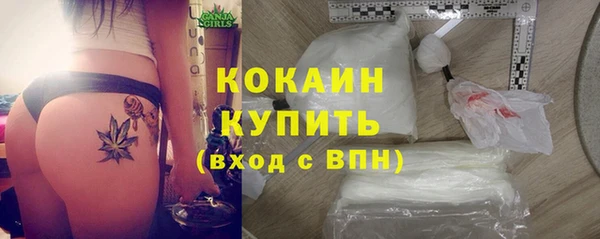стафф Осташков