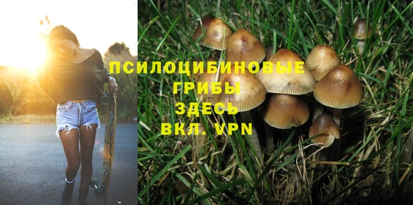 бутират Осинники