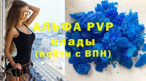 стафф Осташков