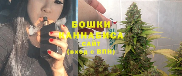 стафф Осташков