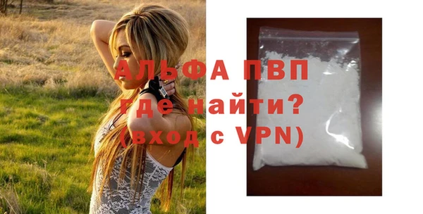 стафф Осташков