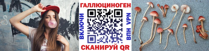 Псилоцибиновые грибы MAGIC MUSHROOMS  Сольцы 